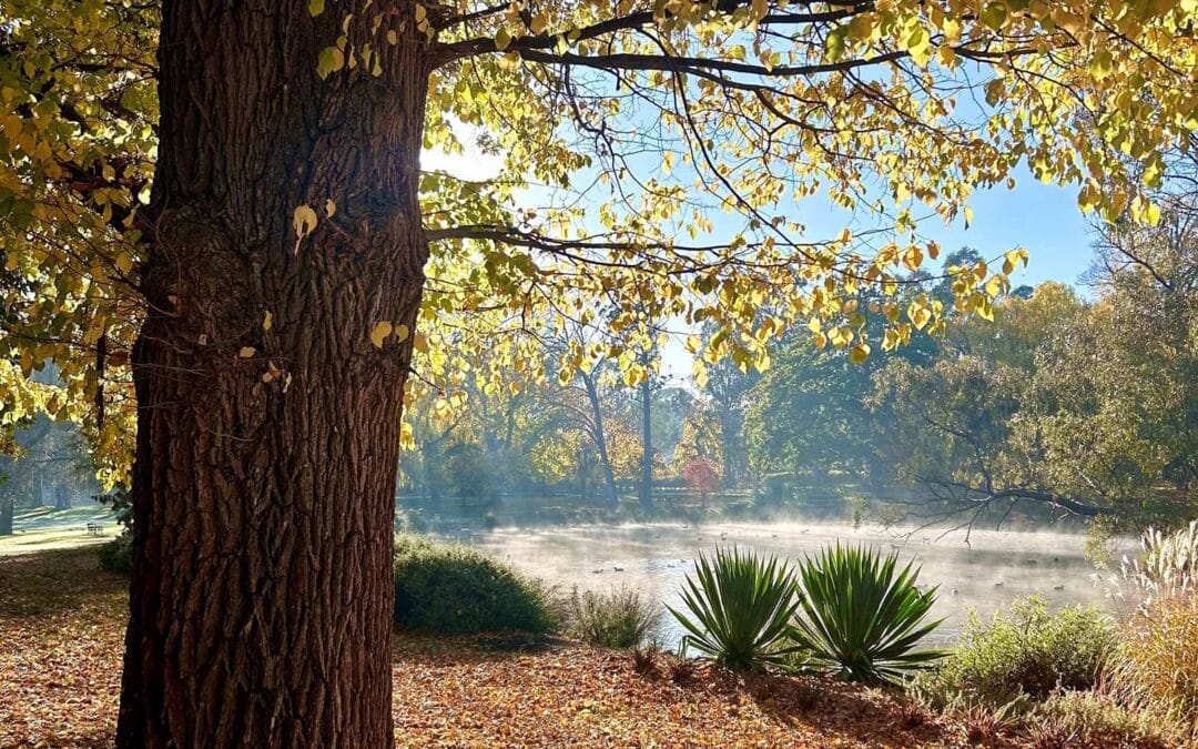 Beautiful Botanical Gardens