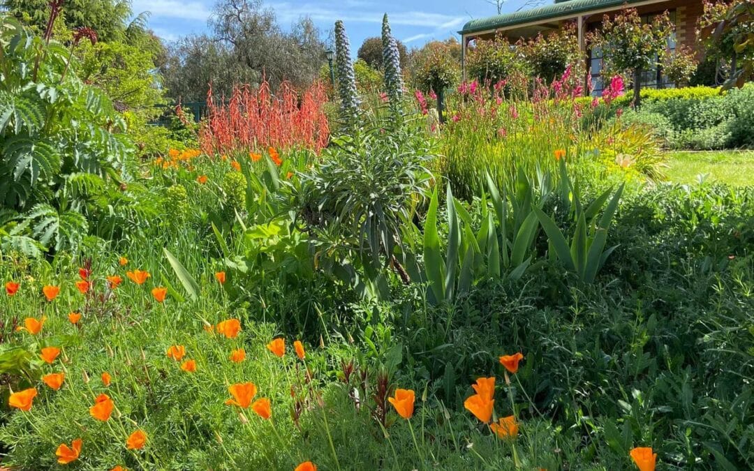 Castlemaine and District Festival of Gardens: The Solace of Gardening