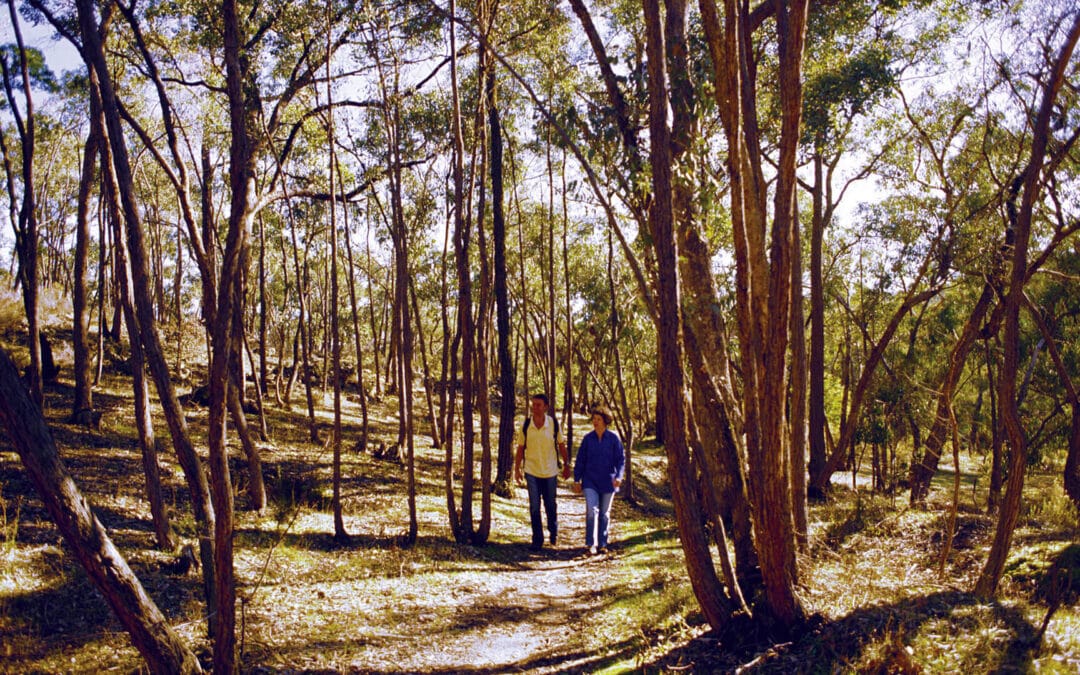 Car-Free Getaways